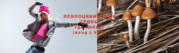 не бодяженный Алексин
