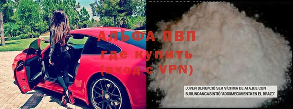 прущие грибы Алзамай