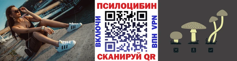 Галлюциногенные грибы Psilocybe  Санкт-Петербург 